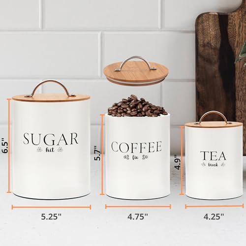 D'Lifeful 3PC Airtight Tea Cof - Coffee Tea Sugar Canisters review and price