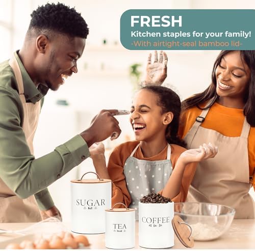 D'Lifeful 3PC Airtight Tea Cof - Coffee Tea Sugar Canisters review and price