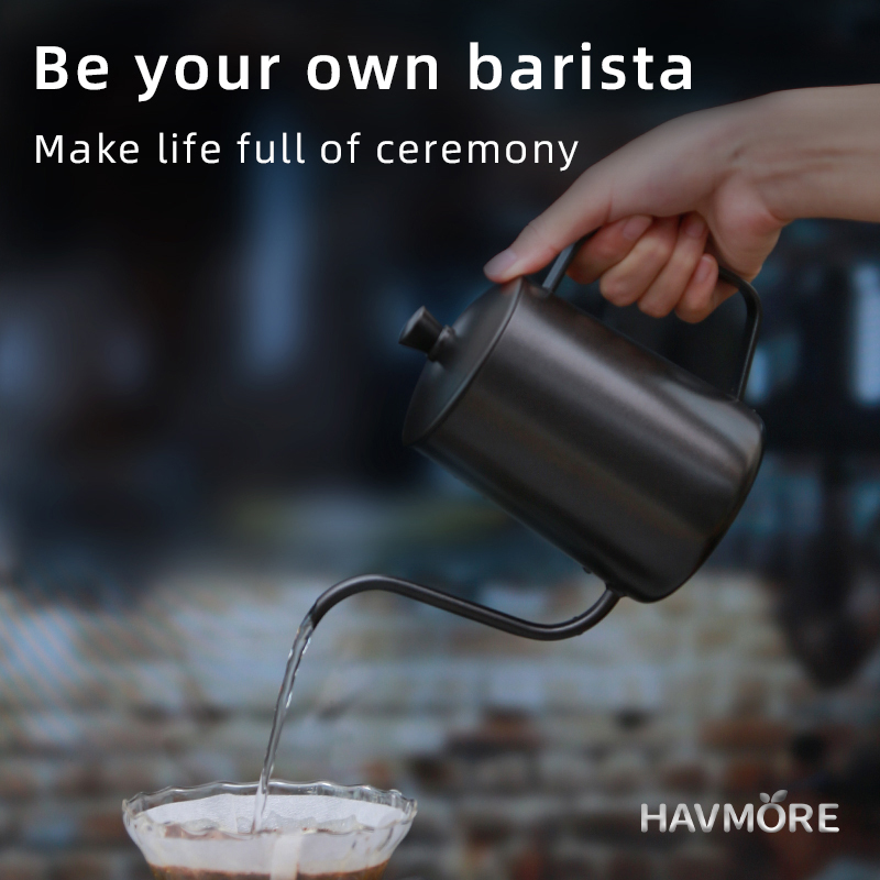 HAVMORE 304 Stainless Steel Te - Coffee Tea Pots review and price